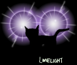 [Cat in headlights]